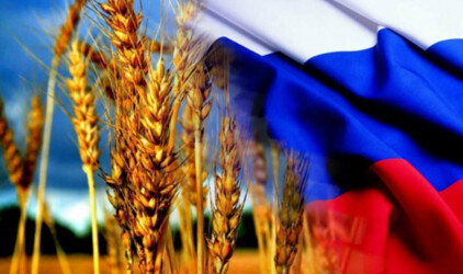 Россия и Венгрия обсудят экономическое сотрудничество в агропромышленном комплексе