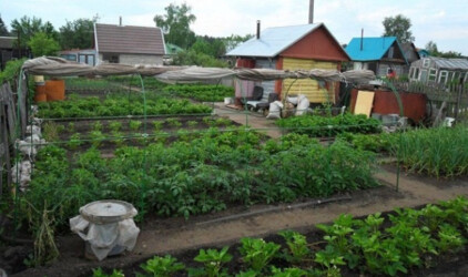 В Татарстане продлена программа финансовой помощи садоводствам на обустройство инфраструктуры