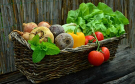 Татарстан в состоянии полностью обеспечить себя продуктами первой необходимости