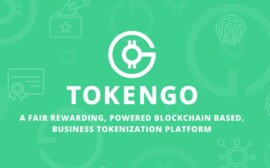 Возможности блокчейн-платформы TokenGO
