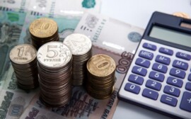 Самозанятые жители Татарстана попросили ввести для них налоги
