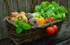 Татарстан в состоянии полностью обеспечить себя продуктами первой необходимости