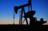 Минниханов обсудил инвестиции в нефтегазохимию Татарстана