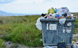 В Татарстане в экотехнопарки по переработке отходов вложат 4 млрд рублей