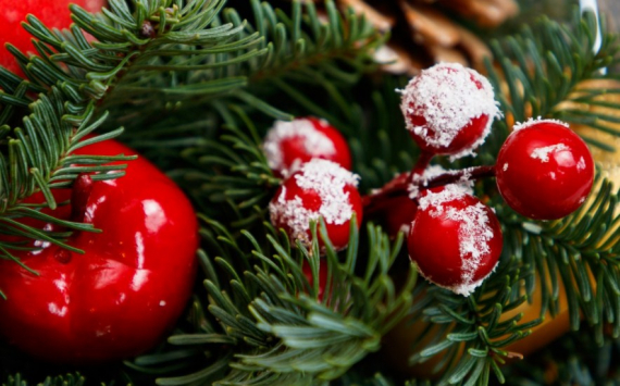 В Казани на новогоднюю ель потратили 16 млн рублей